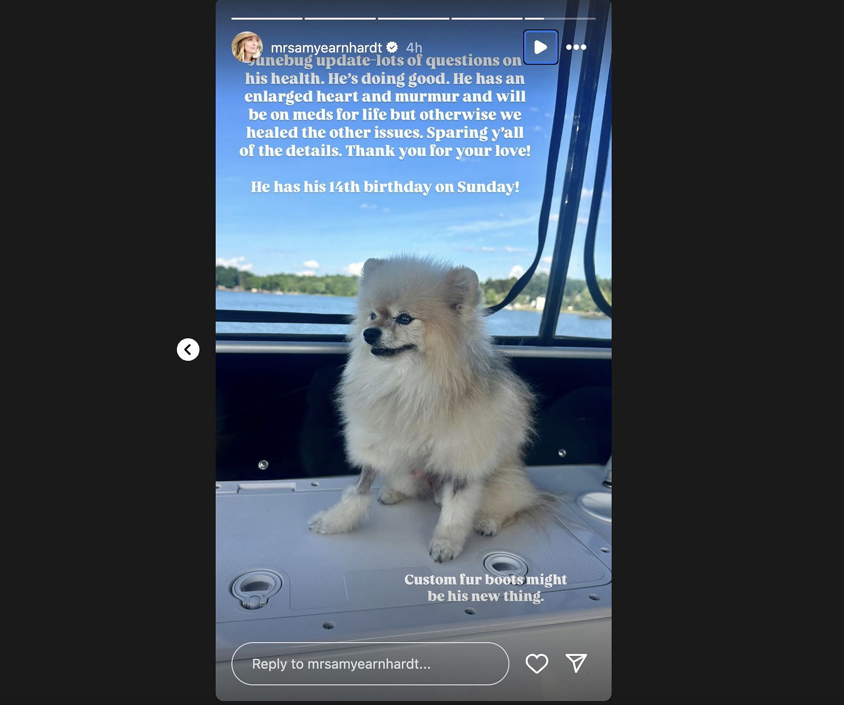 Amy Earnhardt provides health update to her dog, Junebug. Source: @Instagram/amyearnhardt